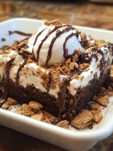 S'mores Brownie Adventure