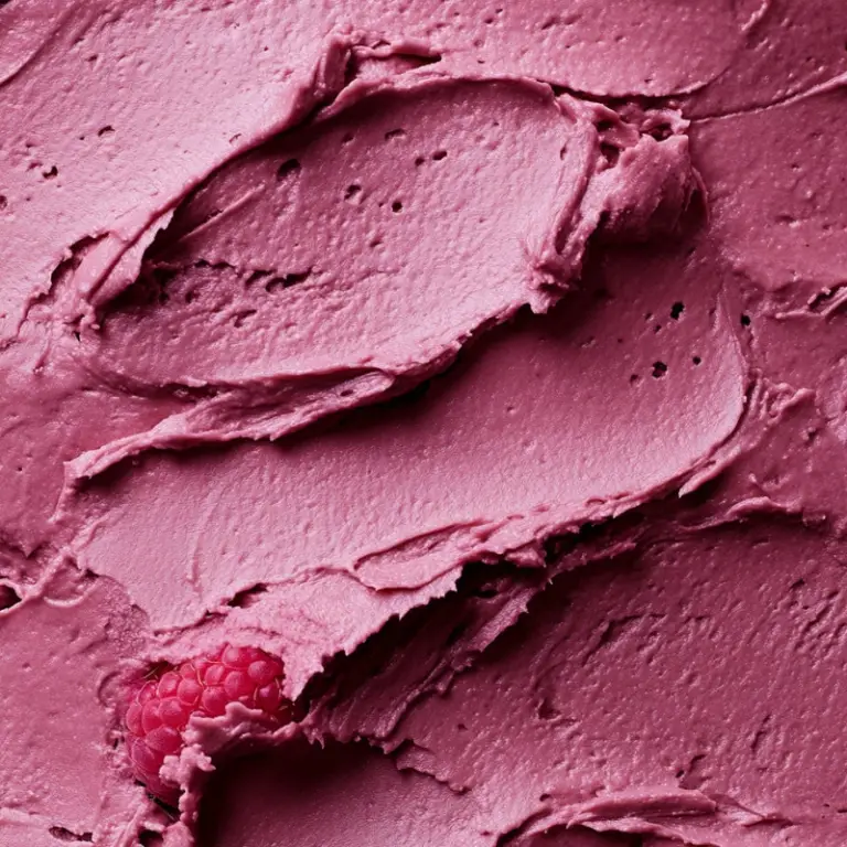 Fudgy Chocolate Cake with Raspberry Frosting