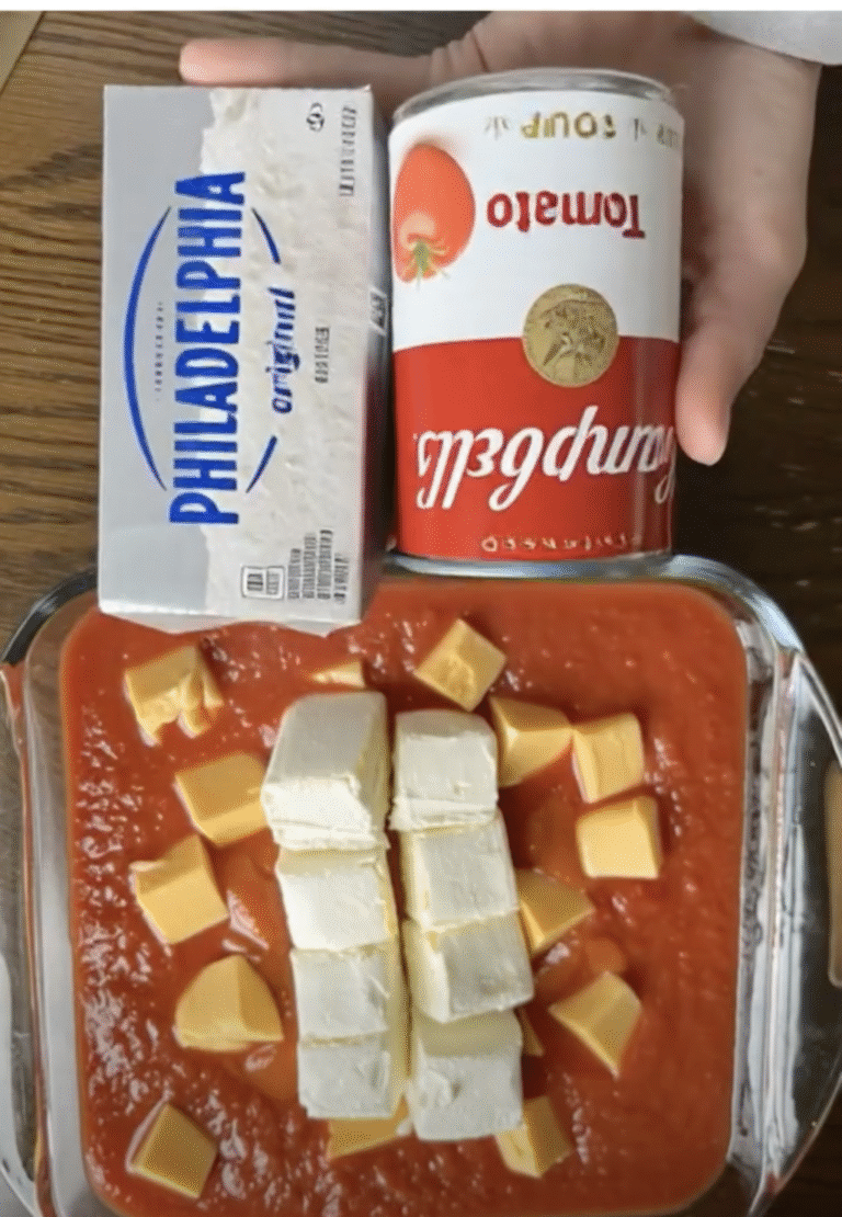 Mom’s Tomato Soup Dip – A Warm, Cheesy Hug in Every Bite