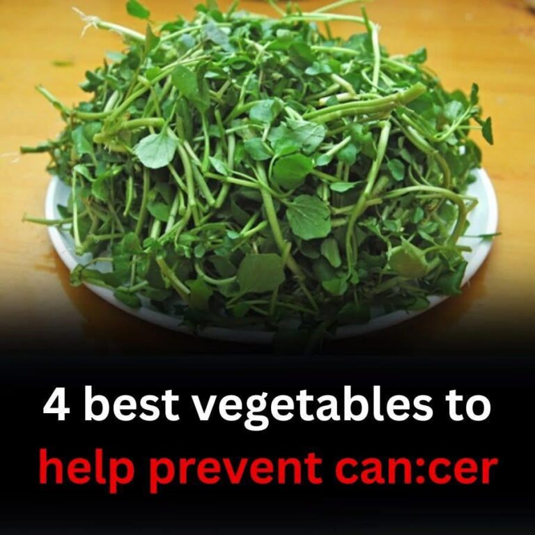 4 Best Vegetables That May Help Lower Cancer Risk