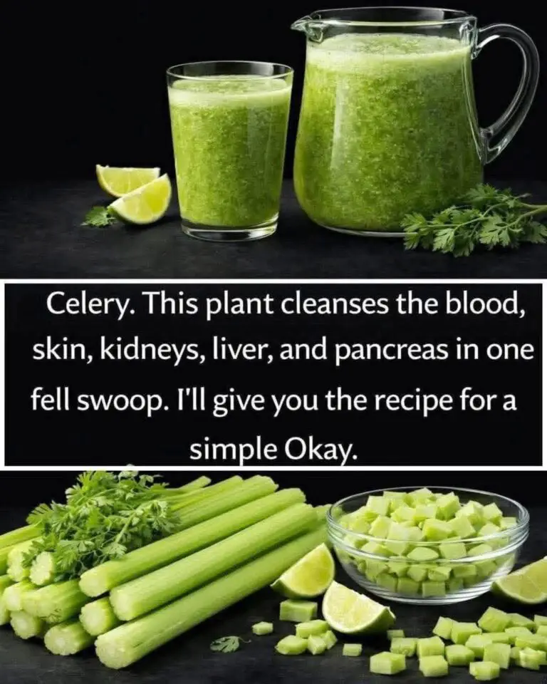 Mediterranean Celery Green Juice: A Fresh Pressed Taste of the Coast