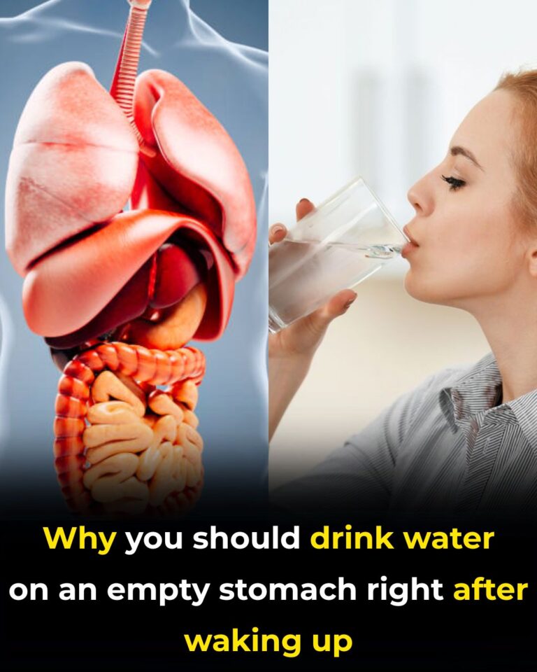 Is Drinking Water First Thing in the Morning Beneficial? A Complete Guide to Morning Hydration