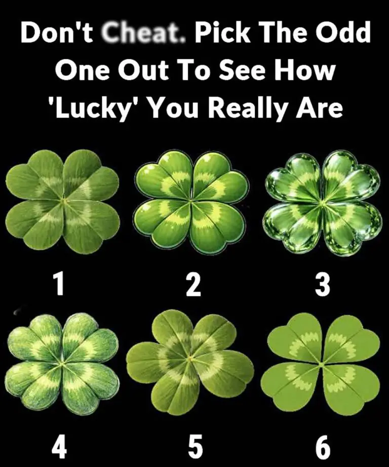 Don’t Cheat Pick The Odd One Out To See How Lucky You Really Are Lucky Clover Herbal Tea