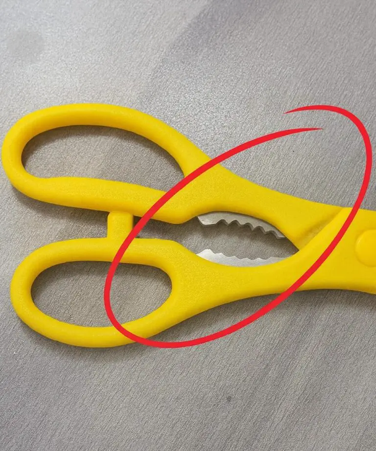 What’s That Strange Toothy Part on Kitchen Scissors For Garlic Herb Kitchen Prep Sauce