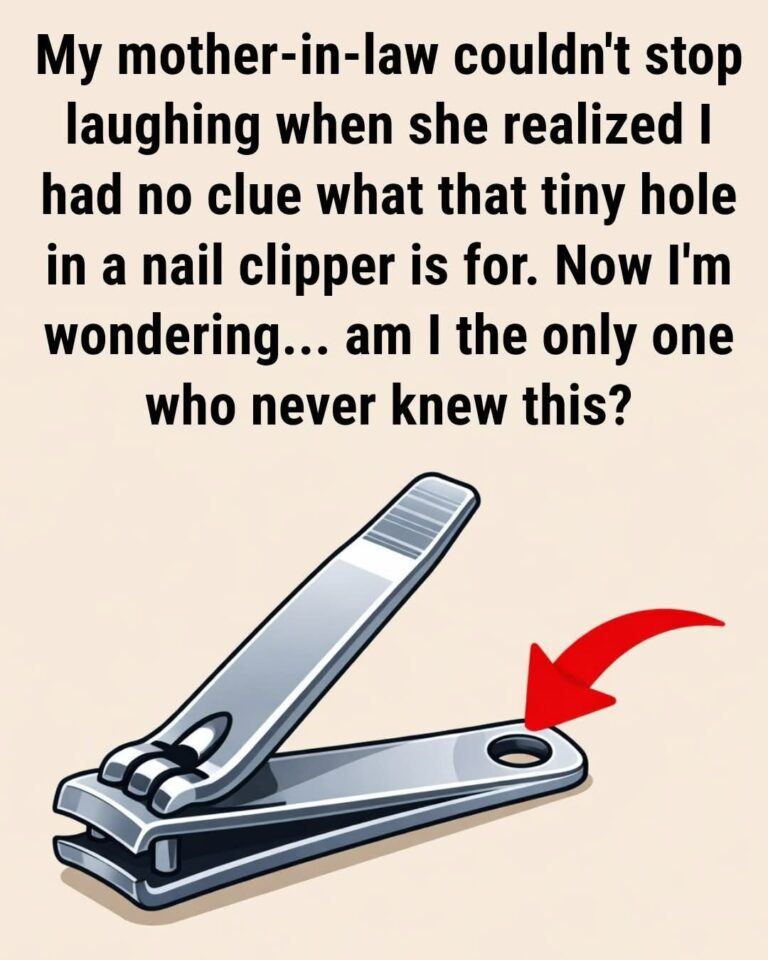 It’s Designed for a Keychain: The Secret Purpose of That Small Hole in Nail Clippers