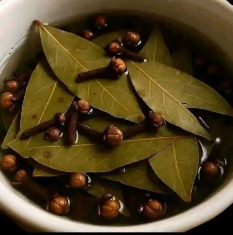 Bay Leaf and Clove Herbal Tea – Warm, Soothing, and Naturally Refreshing