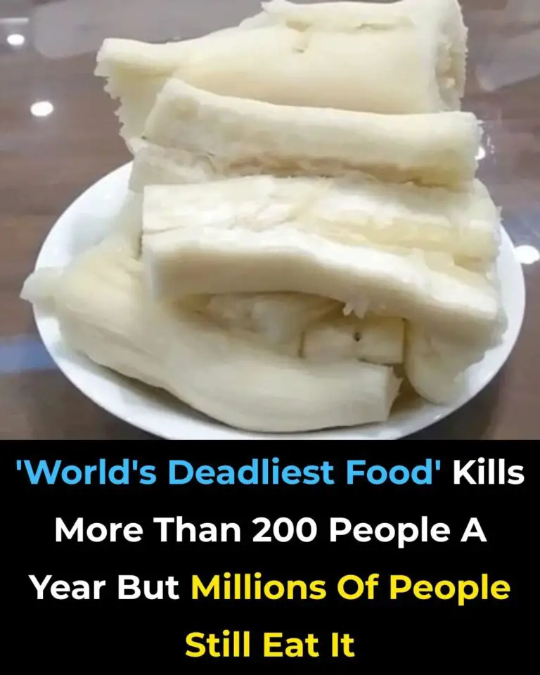 The Truth About Cassava: A Lifesaving Staple That Demands Respect