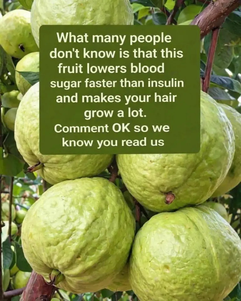 Unlock the Secret of Guava: A Natural Ally for Blood Sugar Control Refreshing Guava Wellness Drink