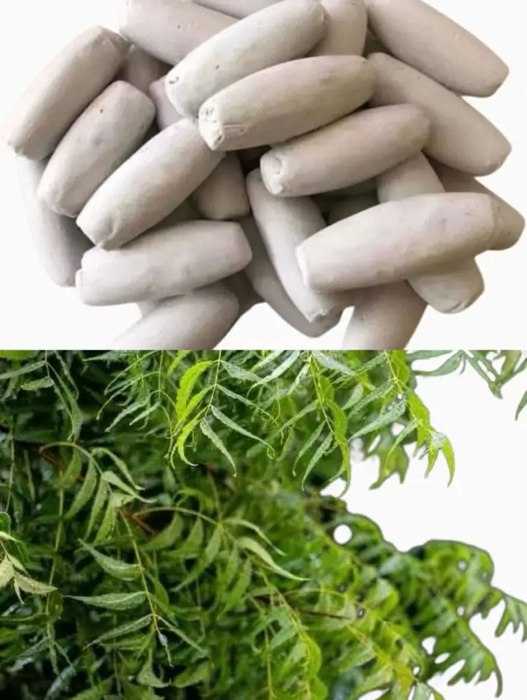 Neem Leaf Leg Relief Remedy: A Natural Soothing Paste for Heavy and Swollen Legs