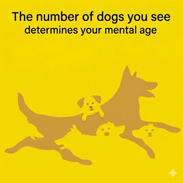 How Many Dogs Do You See and What It Really Says About Your Brain