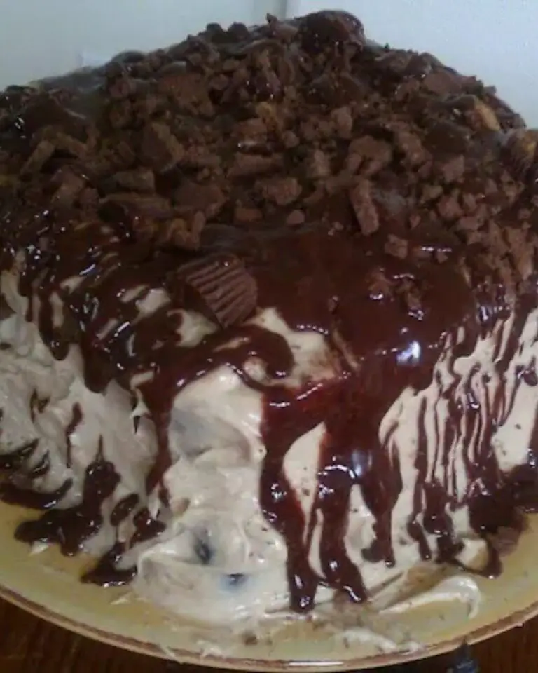 Blue Ribbon Chocolate Cake – Moist, Rich, and Award-Winning