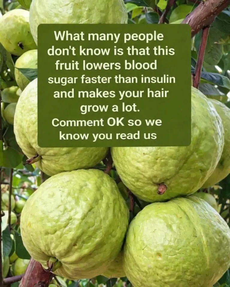 Guava Health Claims: Fact vs Reality
