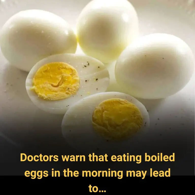 Boiled Eggs in the Morning: What Doctors Really Want You to Know