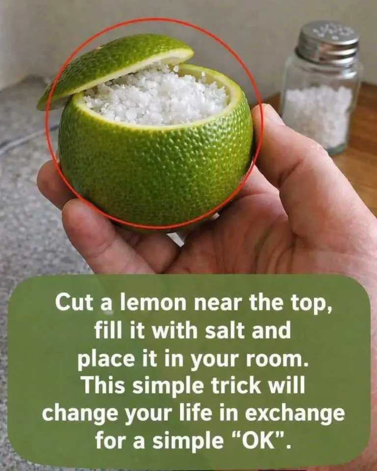 The Salted Lemon Air Purifier for a Fresh and Natural Home