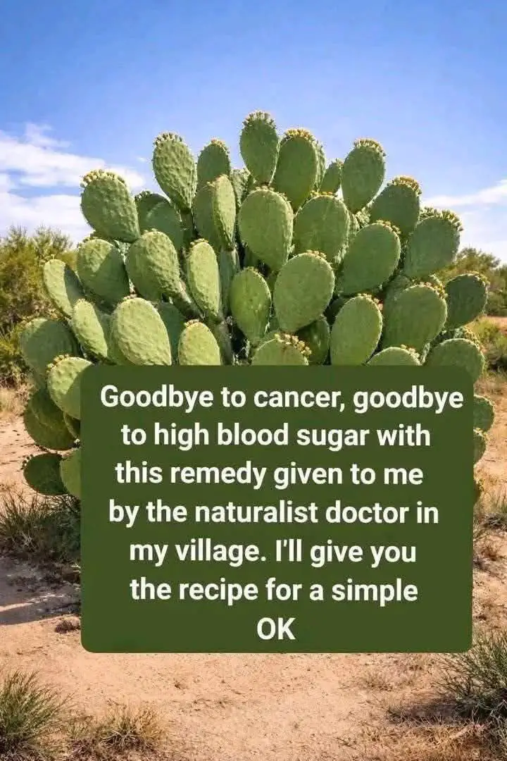 Prickly Pear Cactus Benefits and Nopales Recipe Guide