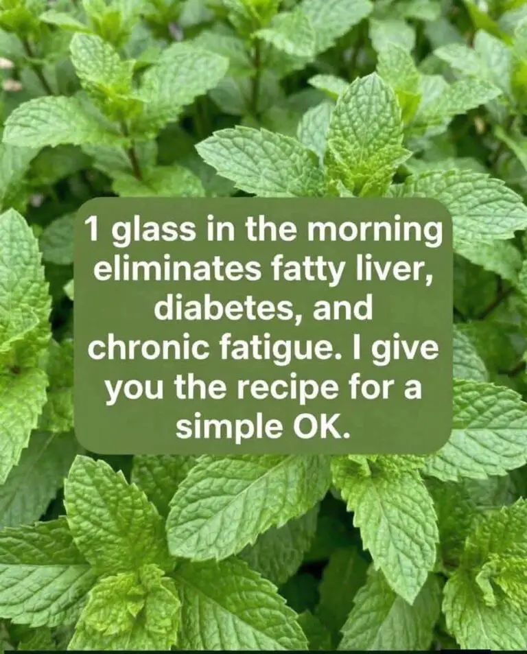 Oregano Leaf Remedy for Natural Wellness and Daily Balance
