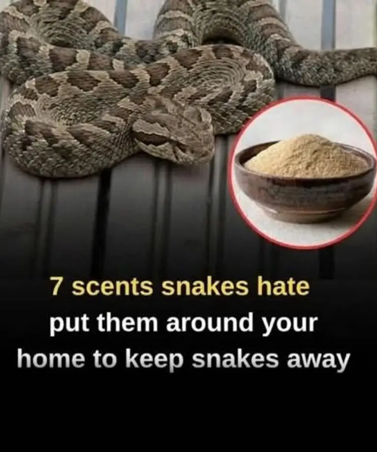 7 Smells Snakes Dislike — And How To Use Them Safely