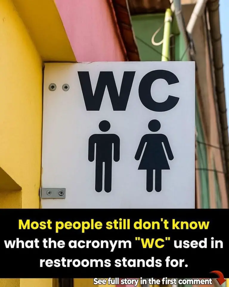 Some People Are Only Now Realizing What “WC” Really Means on Bathroom Signs