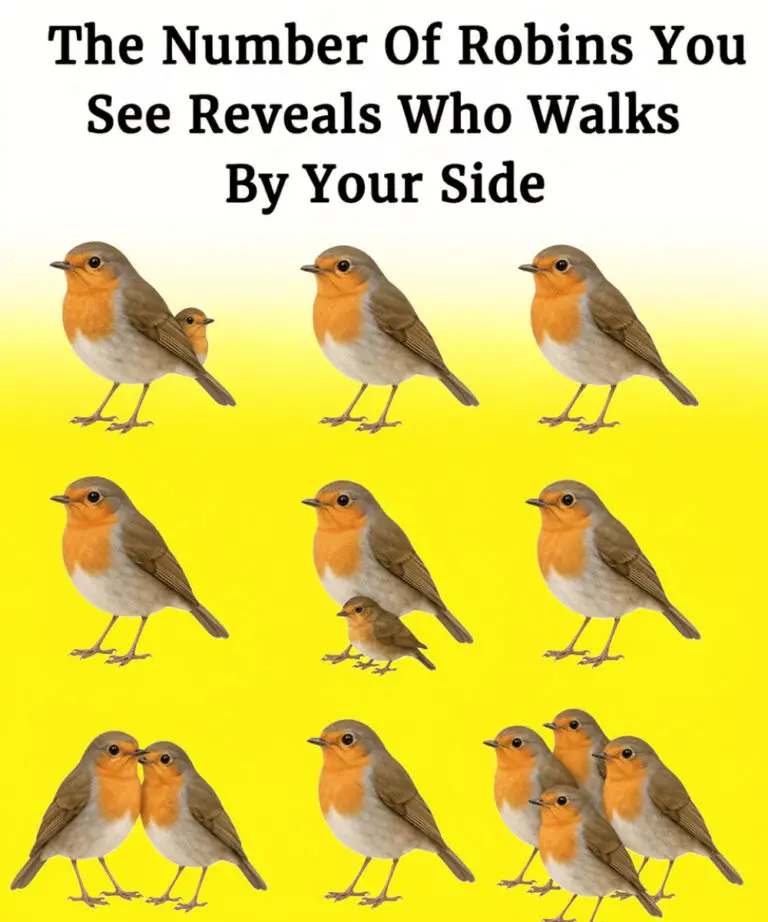 The Number Of Robins You See Reveals Who Walks By Your Side