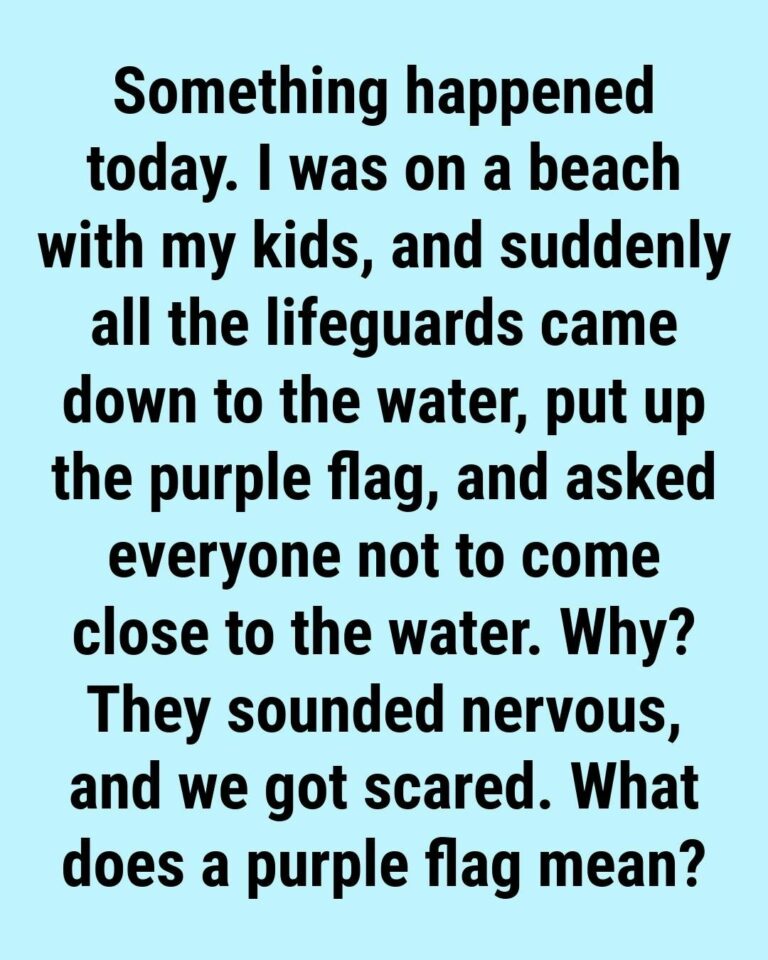 The Purple Flag at the Beach: What It Really Means (And Why You Should Pay Attention)