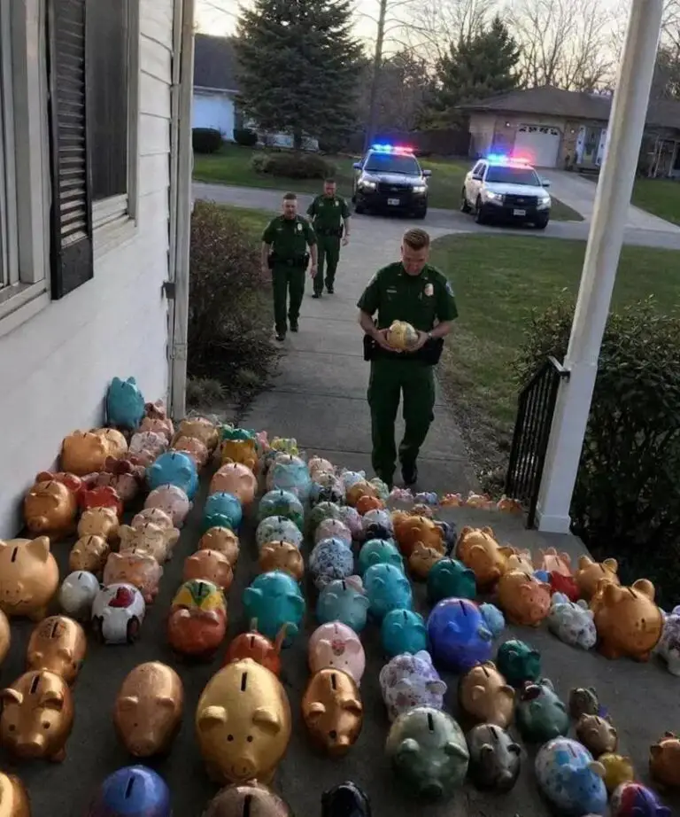 My 6-Year-Old Son Emptied His Piggy Bank to Help Our Elderly Neighbor — The Next Morning, Police Cars Filled Our Street