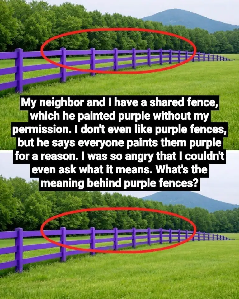 If You Spot a Painted Purple Fence, This Is What It Means