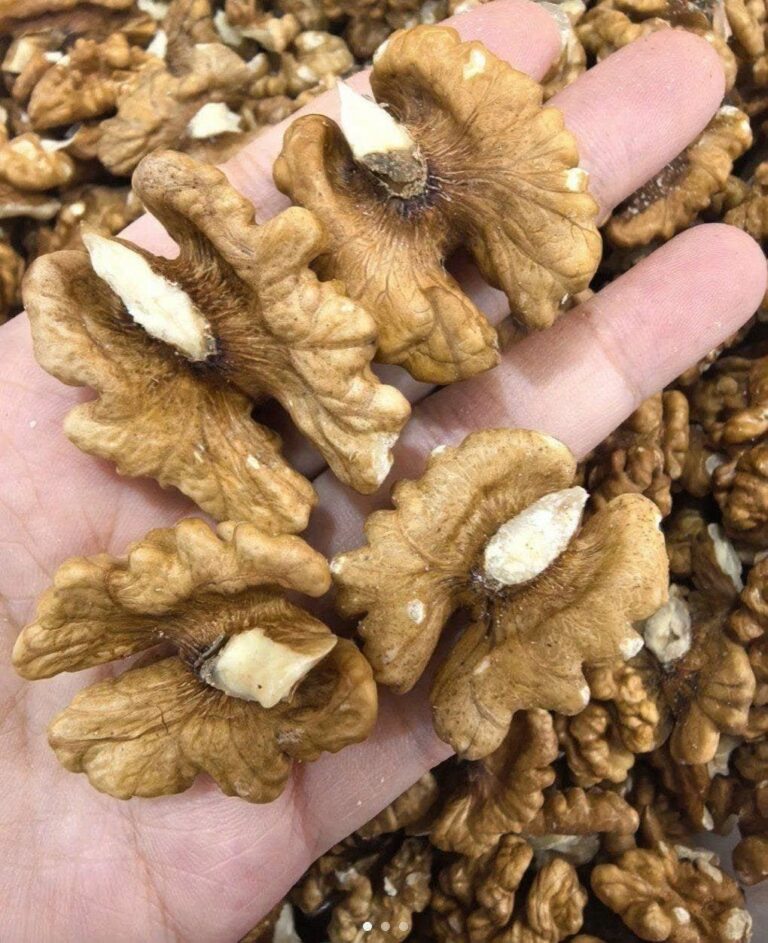 Why Walnuts Deserve a Place in Your Daily Diet: What Science Says About Their Benefits for Brain and Heart Health