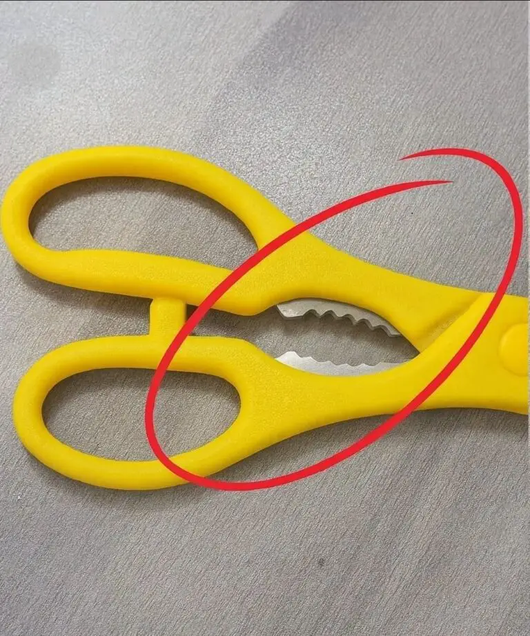 That “Toothy” Part on Kitchen Scissors — The Hidden Multi-Tool You’ve Probably Never Used Correctly