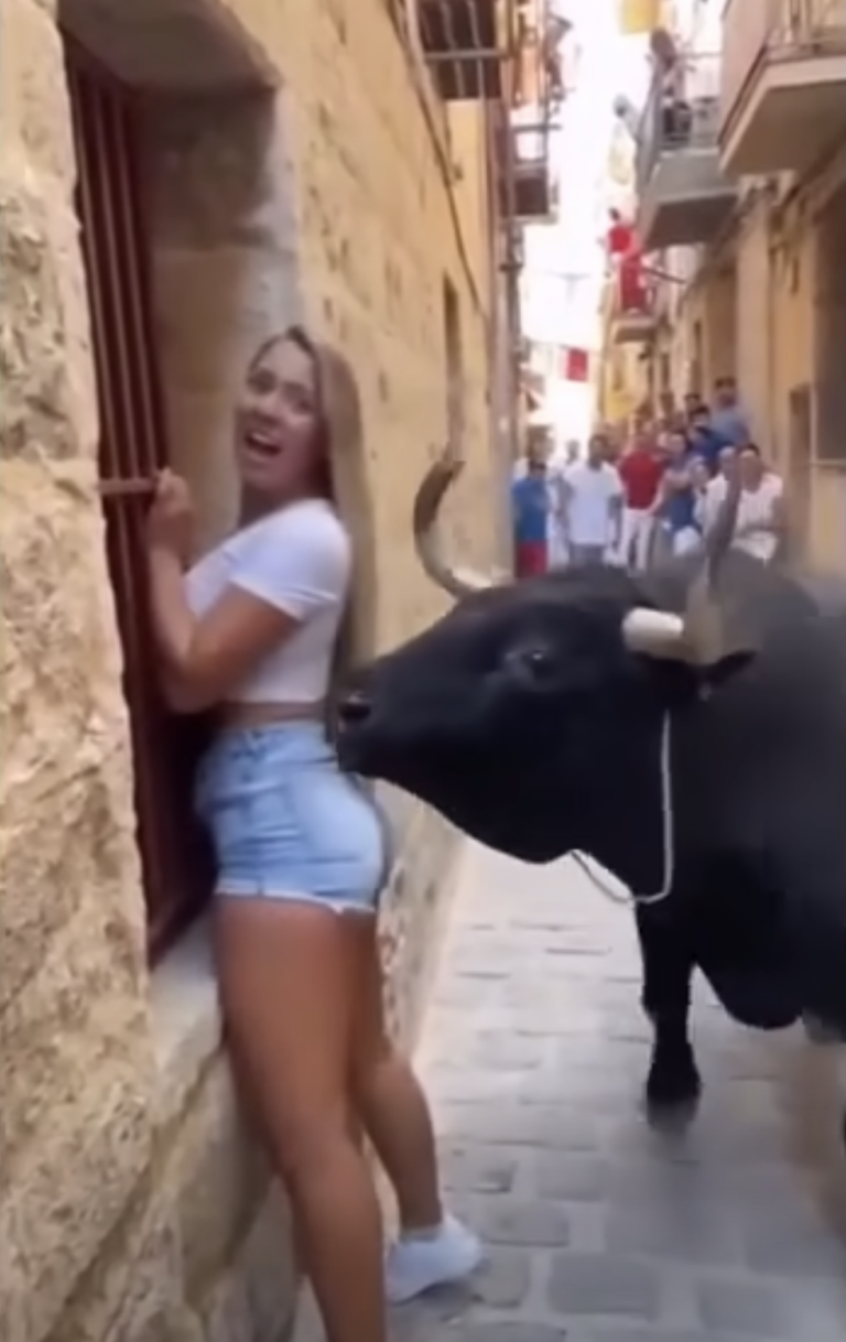 Tourist Faces Bull: Understanding Animal Behavior During Unexpected Encounters