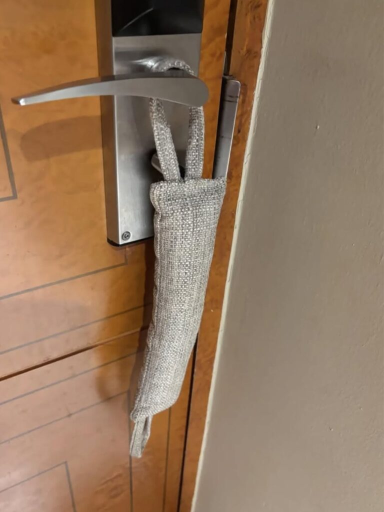 Every Frequent Traveler Needs to Know This Hotel Door Trick – The Real Purpose of That Mysterious Door Latch Cushion