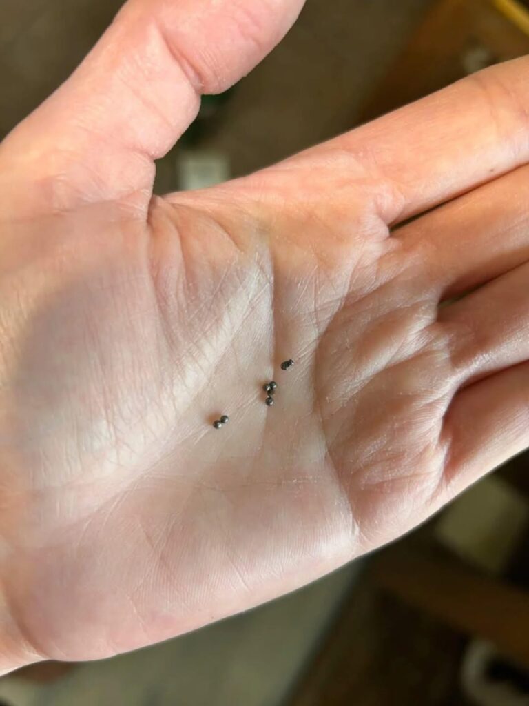 Found Metal Balls Under Your Kitchen Sink? Here’s What They Could Mean — And What to Check 🛠️
