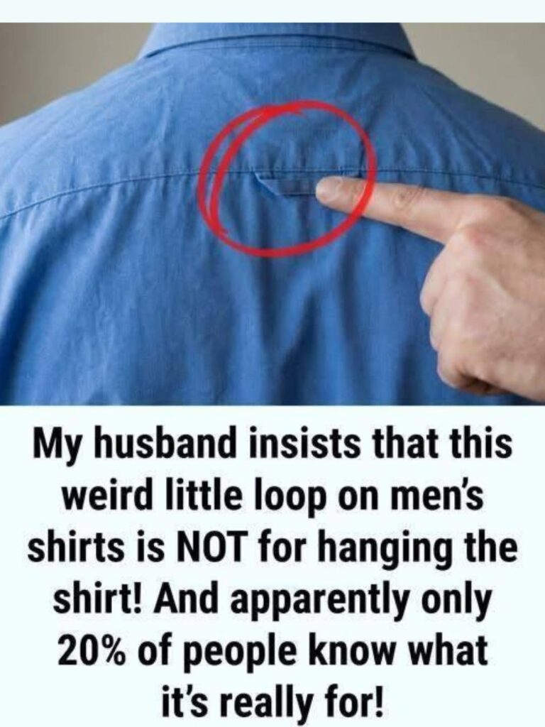 The Quiet Story Behind the Small Loop on Button-Down Shirts: Why This Tiny Detail Still Matters