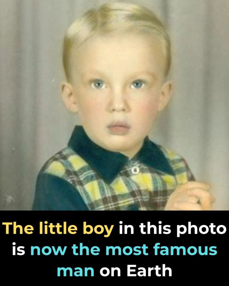 The False Narrative: Why This Keeps Spreading — How Viral Posts Turn Confusion Into “Facts”