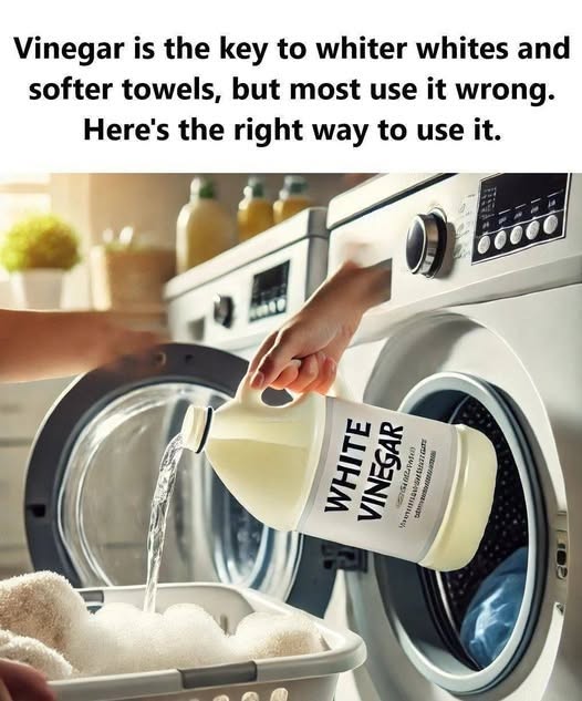 Vinegar: The Key to Whiter Whites and Softer Towels When Used the Right Way
