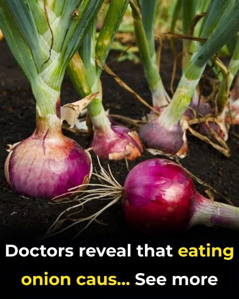 Doctors Reveal That Eating Onion Causes… The Surprising Truth About Benefits & Side Effects