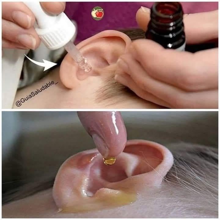 Put 2 Drops in Your Ear and You’ll Hear Like Before”? The Truth About Garlic Oil for Hearing Loss