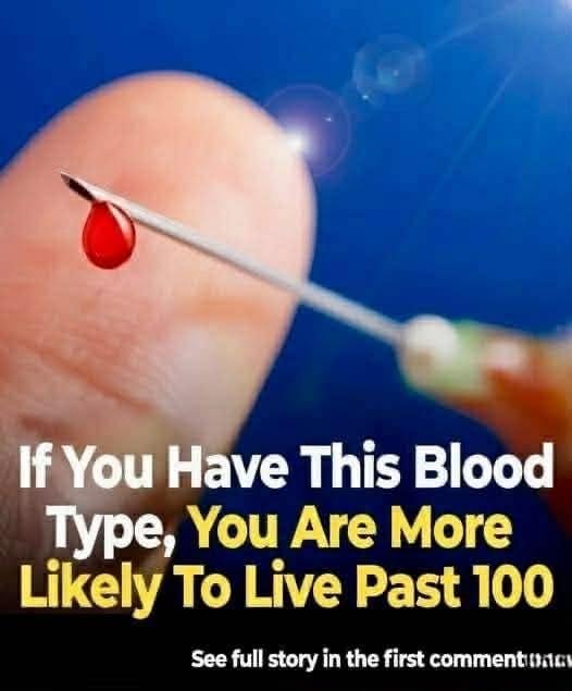 Blood Type and Longevity: What Science Actually Says About Reaching 100