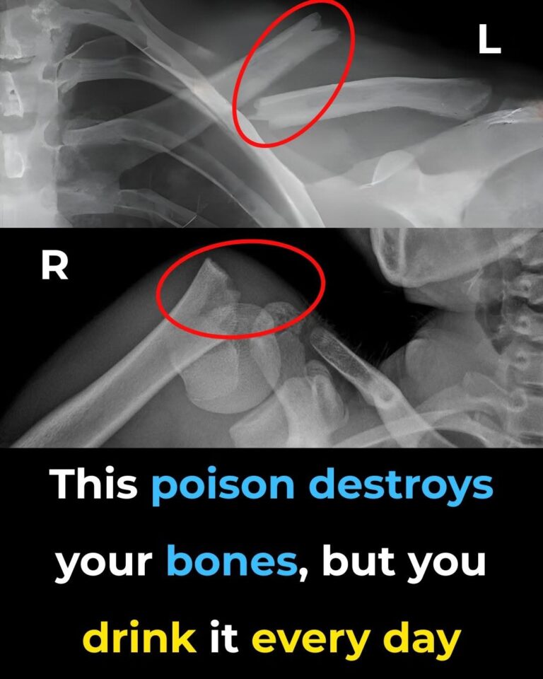 This Popular Drink May Affect Your Bone Health — Here’s What the Science Actually Says