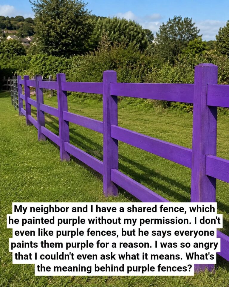 If You Spot a Painted Purple Fence, This Is What It Means (And Why You Should Immediately Turn Around)