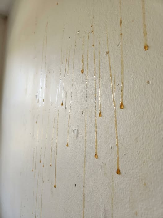 Yellow Streaks Dripping Down Your Bathroom Walls? Here’s What They Could Mean