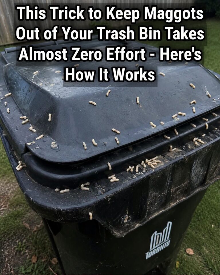 The Unwelcome Guest in the Bin: A Gentle, Resourceful Guide to Keeping Maggots Out of Your Trash