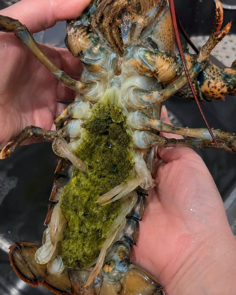 What Is the Green Stuff Inside a Lobster? Tomalley, Roe, and What You Should Know Before Eating It