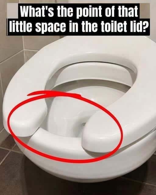 Why Public Restrooms Have U-Shaped Toilet Seats: The Practical Reason Behind the Missing Front
