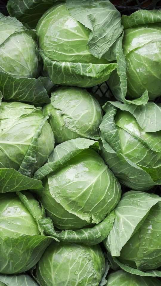 Is Cabbage Really That Healthy? 7 Benefits of This Surprisingly Powerful Vegetable