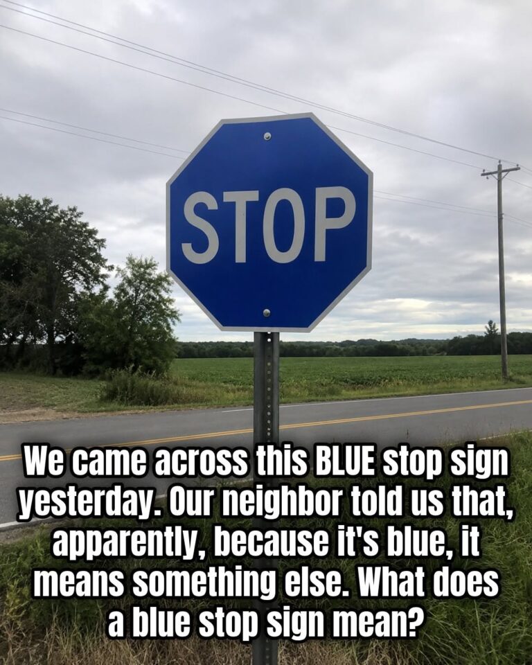 The Meaning Behind a Blue Stop Sign: What Drivers Should Know