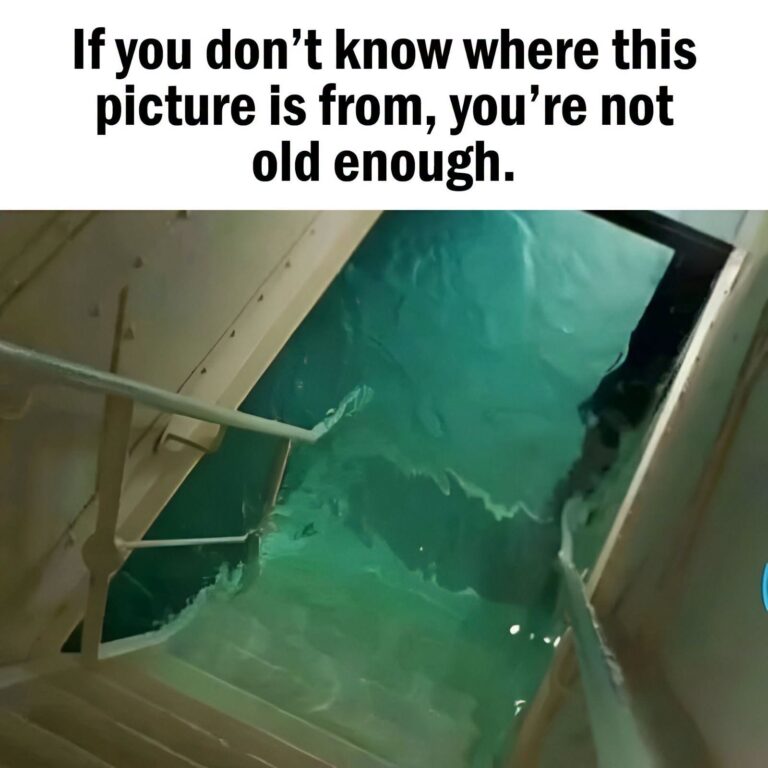 If You Recognize This Scene, You Probably Grew Up in a Different Era