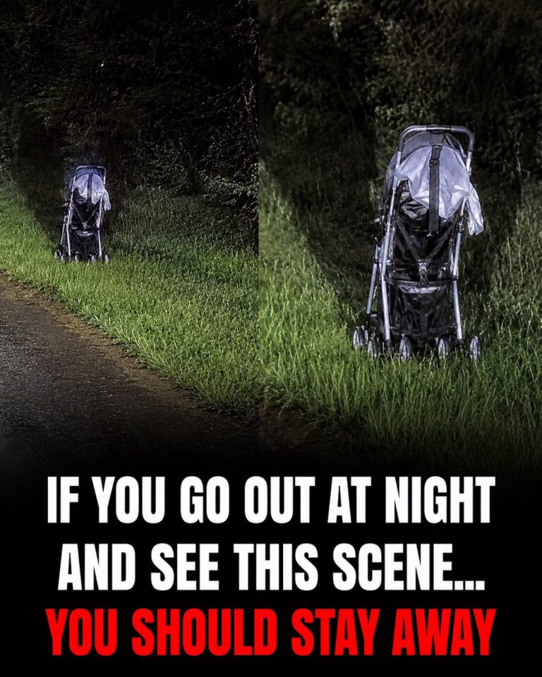 If You Find an Abandoned Stroller at the Roadside, Stay Alert Before You Approach