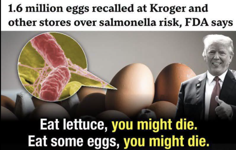 Massive Egg Recall Raises New Questions About Food Safety and Public Oversight