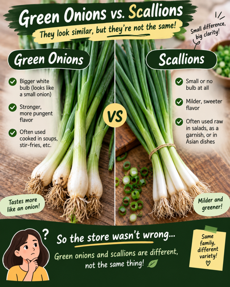 Difference Between Green Onions, Scallions, Spring Onions and Chives