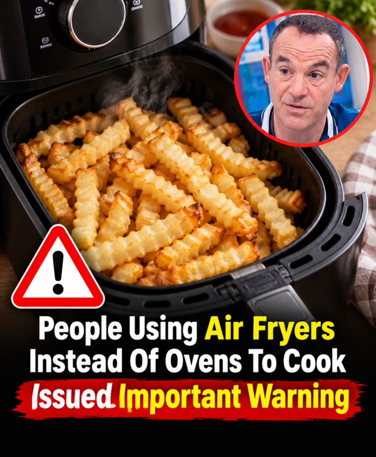 People Using Air Fryers Instead of Ovens Issued Important Warning: What Every Home Cook Should Know